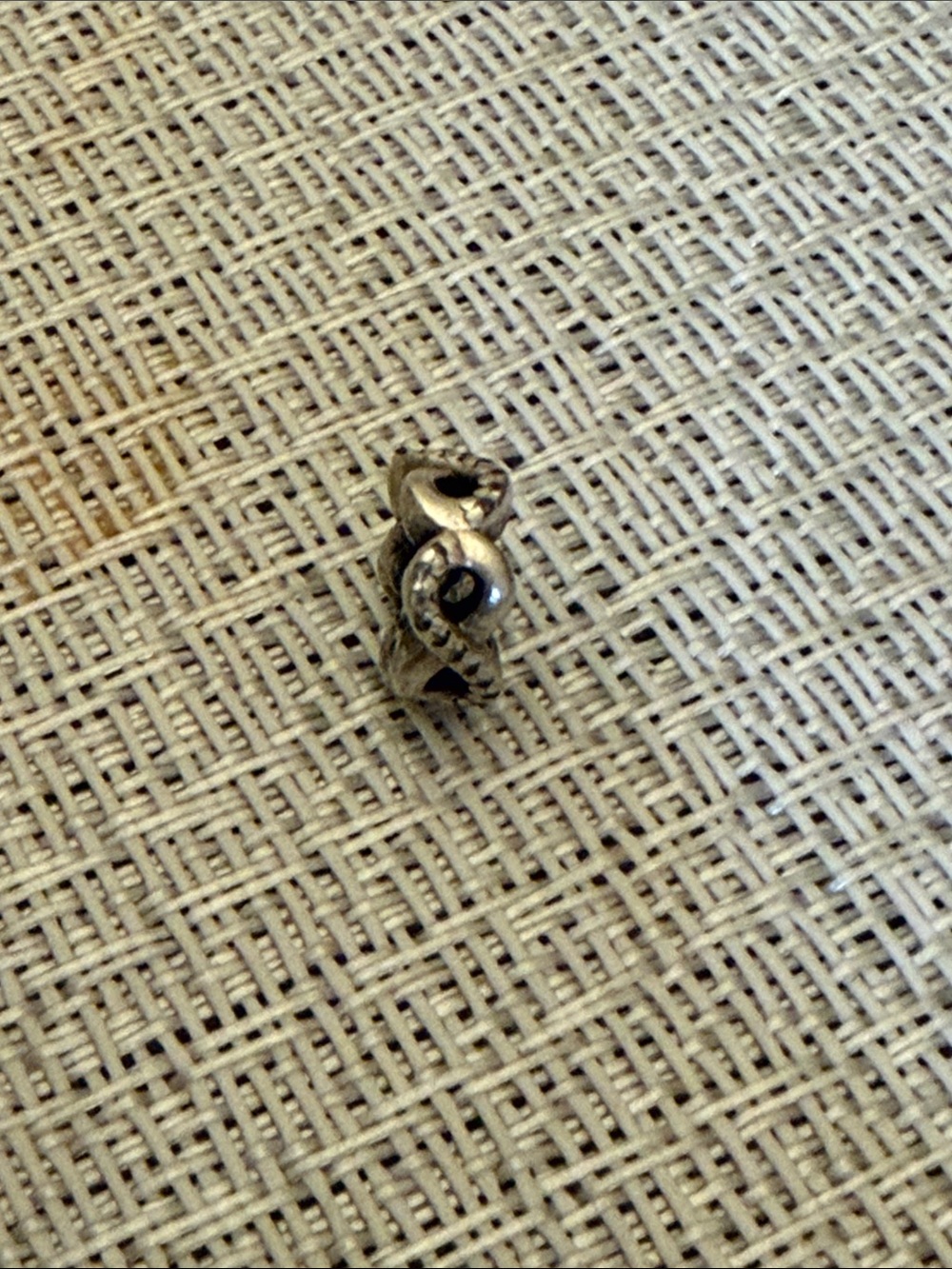 Pandora infinite charm